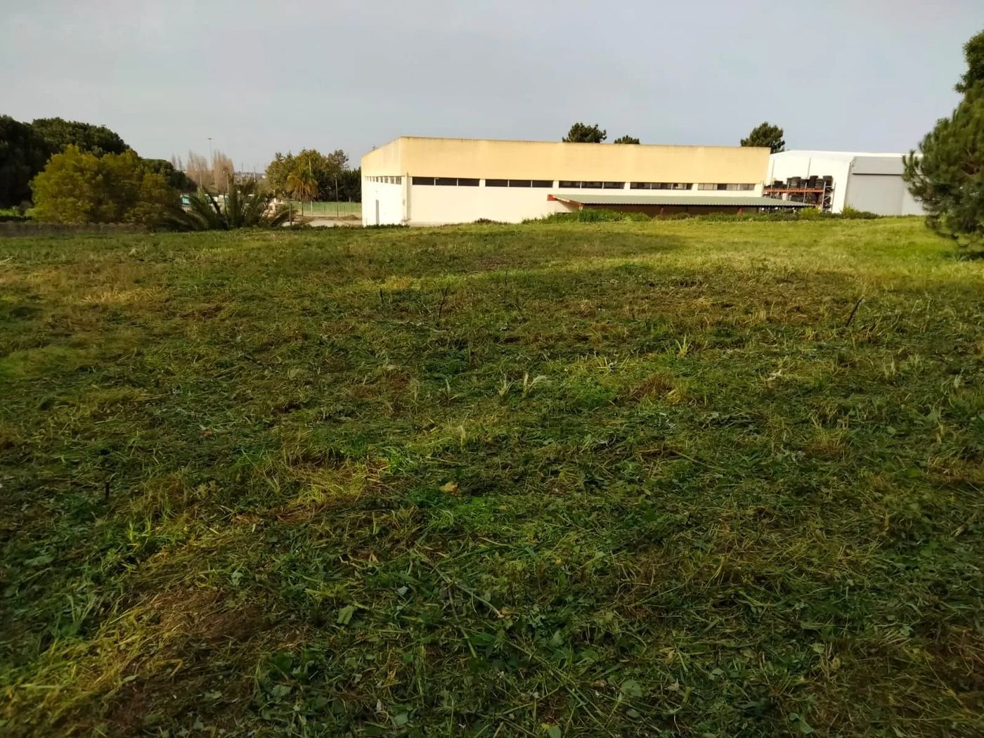 Terreno limpo depois da desmatação e silvicultura — Urbanever